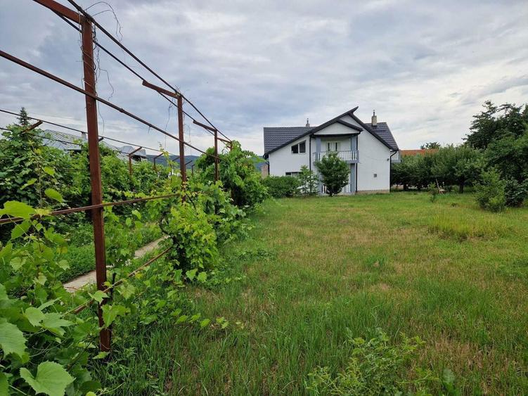 Vila P+1, caramida + a doua casa de BCA, teren 8000mp - 2