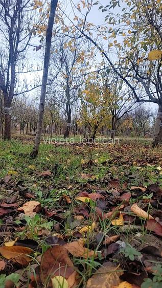 Vand casa in Ghiroda