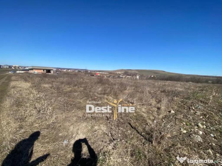 Loturi de Teren Fermelor Strada Plantelor - 6