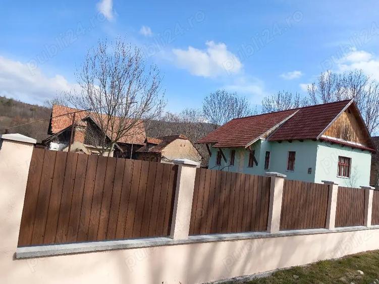 casa cu anexe, gradina, livada, in centrul loc. Lisnau - 4