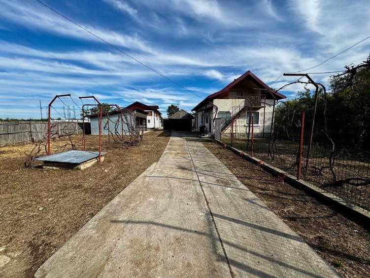 Casă de vânzare în Silisteni – 2 case, garaj, curte, grădină și livadă - 1