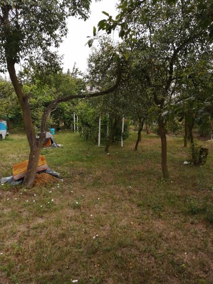 De vanzare teren intravilan, în vatra satului, cu casa veche demolabila, 903 mp - 2