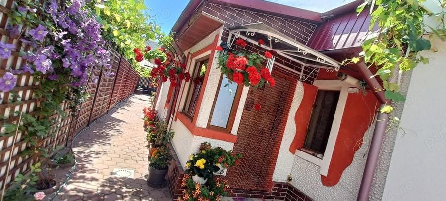 Casa de vanzare zona Buzaului - 10