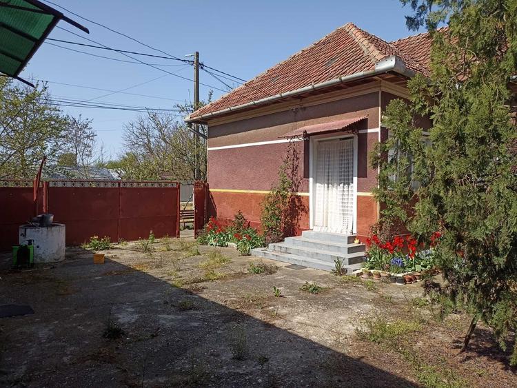 Vand casa cu gradina - 2