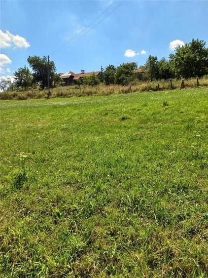 Reco Cabana din lemn in Bulz - 5