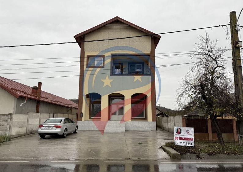 Spatiu comercial de inchiriat/Livezi/Dolj - 21