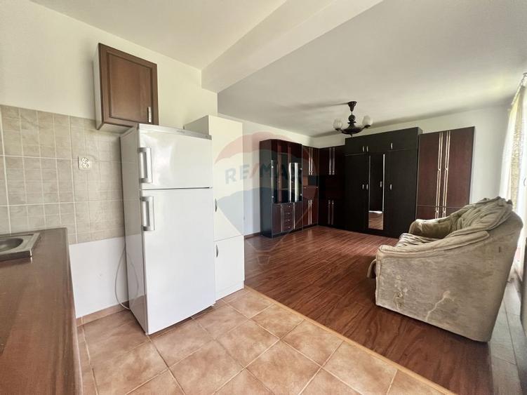 Casa cu potential intr-un cadru natural de exceptie - Mares, Albota - 22