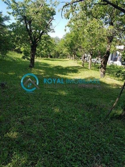 Royal Imobiliare - Vanzare Teren zona Paulesti - 2
