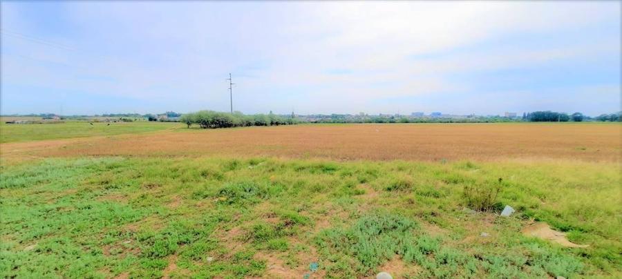 OCAZIE ! EFORIE NORD, ULTIMELE 3 LOTURI, 517 MP. 19.500 EURO IDEAL INVESTITIE ! - 11