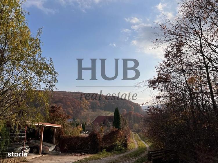 TEREN 1095MP -PODIS -DN 2G- BACAU -MOINESTI - 2