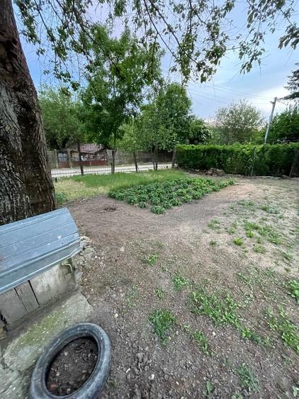 Casa cu teren intravilan 3100 mp - 4