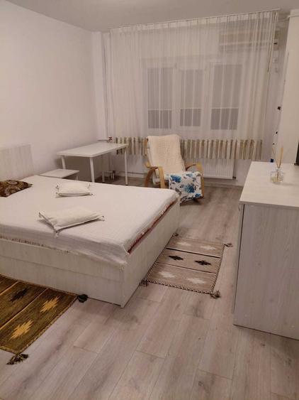 Garsoniera de inchiriat Baba Novac, Dristor, Muncii - 385 Euro - 4