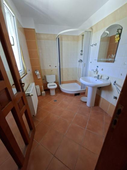 Dumbravita la intrare,  pentru locuit sau afacere - 6