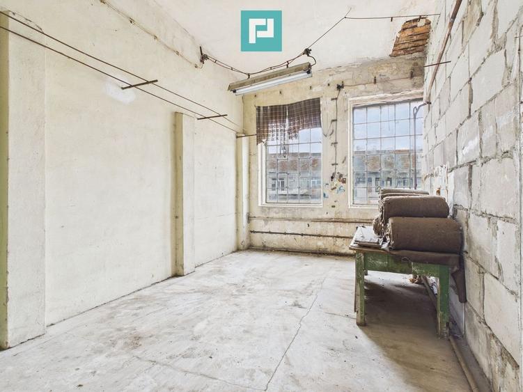 Spațiu versatil  250 mp de investiții în Periam - 2