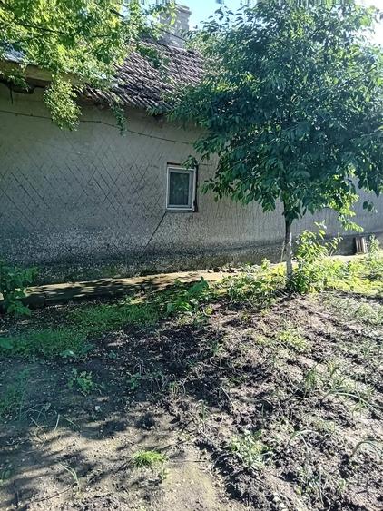 Casa de vanzare Mereni Constan?a - 4