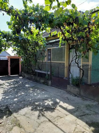 Vand proprietate in Miersig, jud.Bihor, la aproximativ 20 km de Oradea. - 8