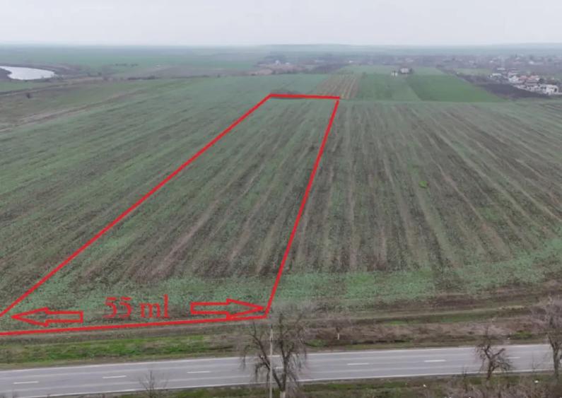 FRUMUSANI-POSTAVARI, TEREN-23.728 MP! - 6