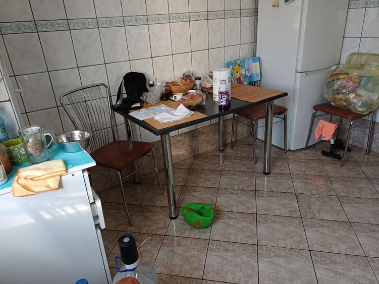 APARTAMENT 3 CAMERE DE VINZARE - 7