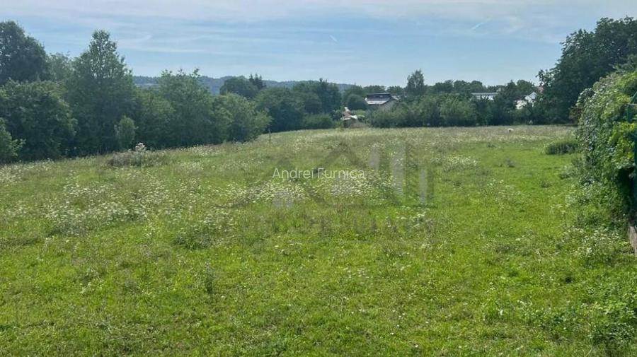 Teren 750mp Bucium - Fundacul Paun