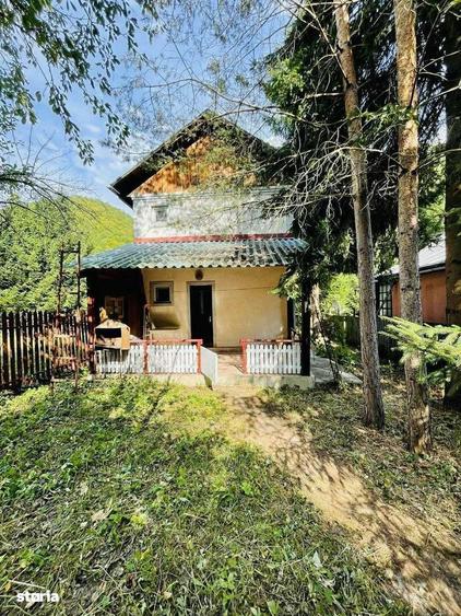 Casa Vacanta Lepsa Vrancea - 1