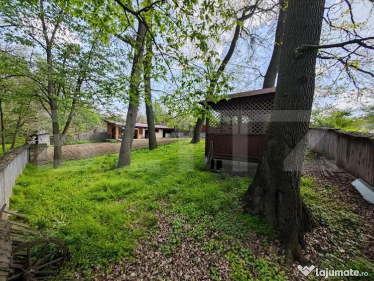 Padure in Barnova 1800 mp + 600 mp teren pentru casa - 1