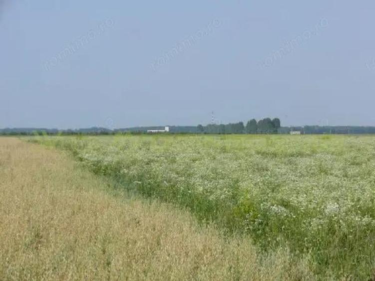 Teren 70 000 mp pretabil FOTOVOLTAIC de vanzare in Titu, jud Dambovita, negociabil - 4