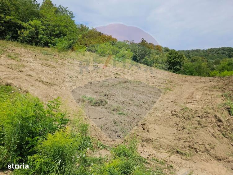 Teren intravilan pentru casa din doua parcele a cate 800mp fiecare - 3