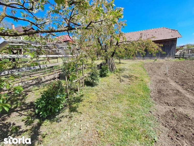 Nazna | Casa + 2900 mp teren - 18
