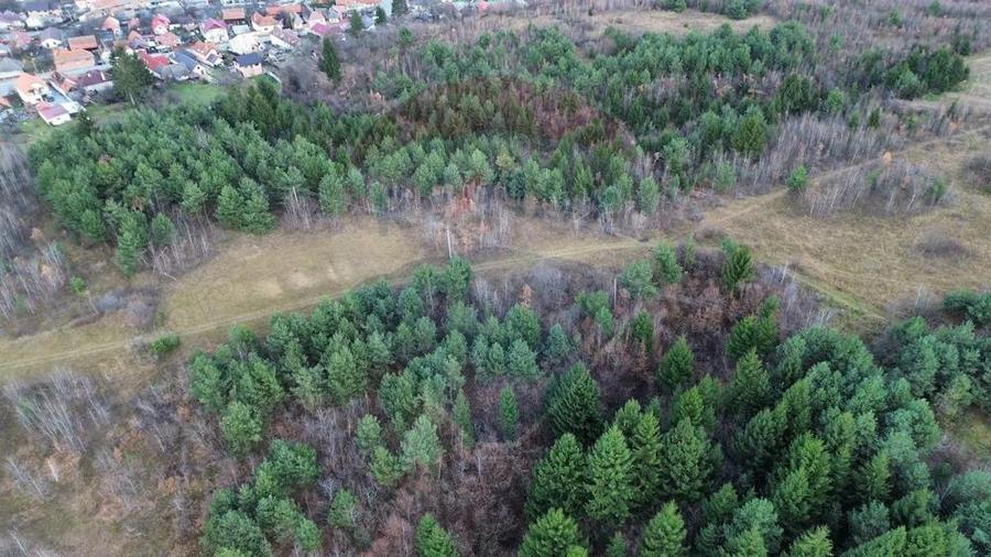 Teren Sacele / Strada Valea Larga 2000 mp - 3