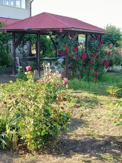 Casă cu 4 camere în Floroaica