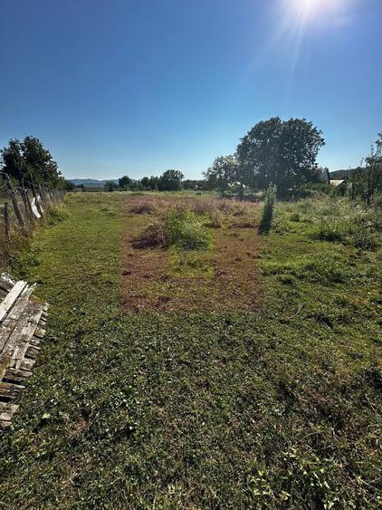 Teren Construcții de 3750 mp, în Voila