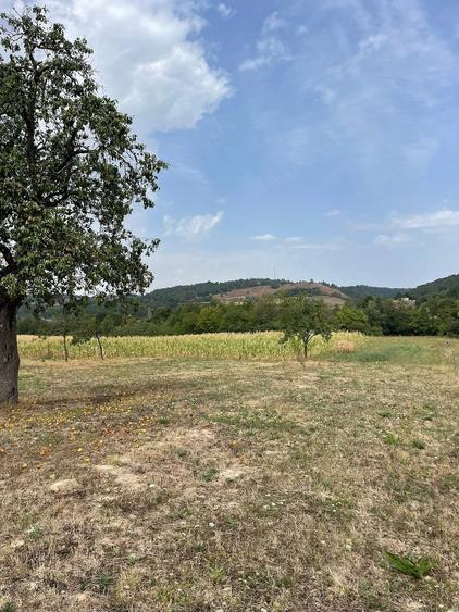 Casă cu 2 camere cu Teren 9300 Mp în Căbești