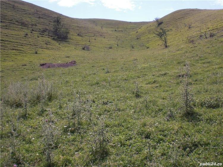 Teren de 4500 mp, în Dărmănești