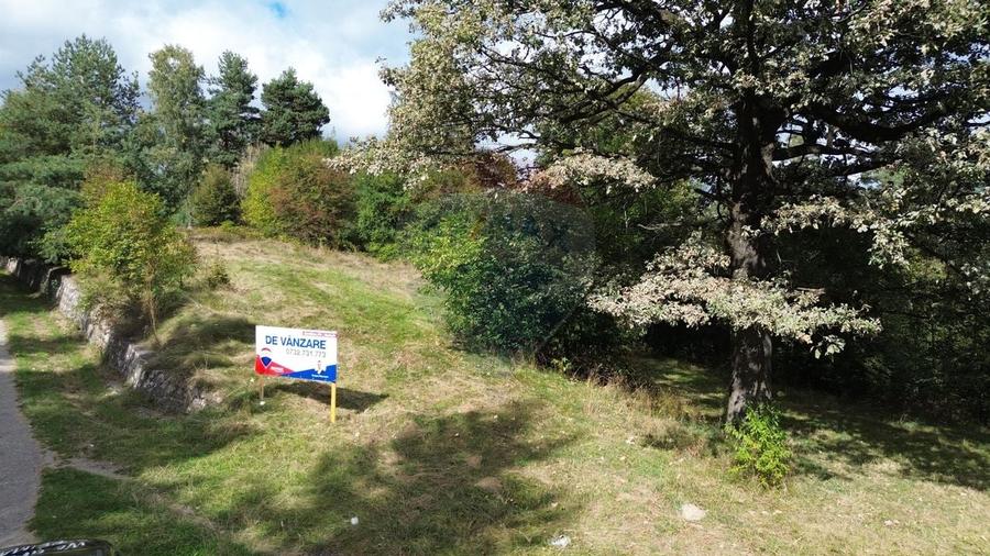 De vanzare - Teren 5.193 mp, pasune partial impadurita, Campulung - 1