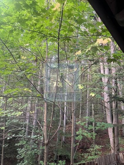 Pensiune de inchiriat/ Predeal - 24