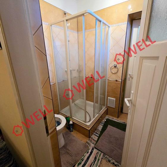 Casă familiară de vânzare în Bixad! - 25