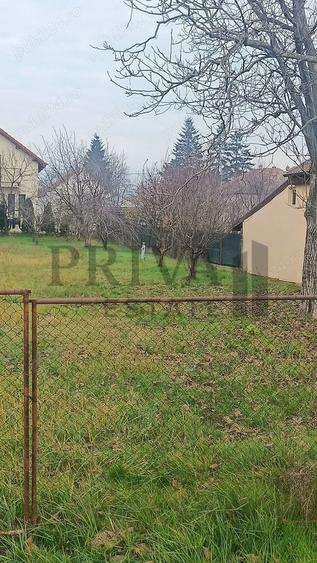 Teren intravilan in Giarmata Mare - 3