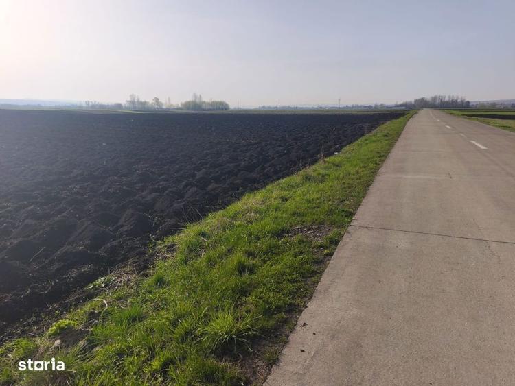 Teren extravilan, 9300mp, 55ml deschidere la drum, Satu Mare, Radauti - 2