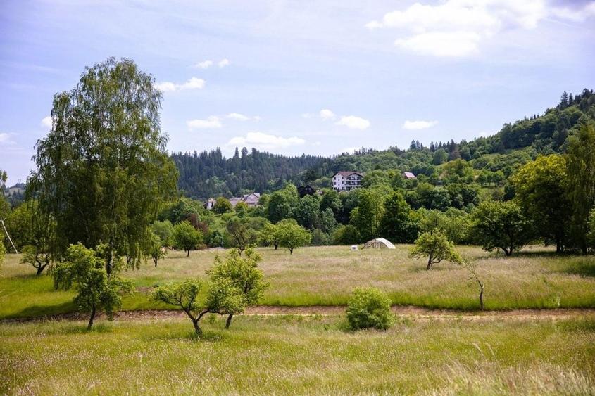 Teren intravilan - 1.050 mp &icirc;n Bran cu utilitati - priveliște Bucegi - 4