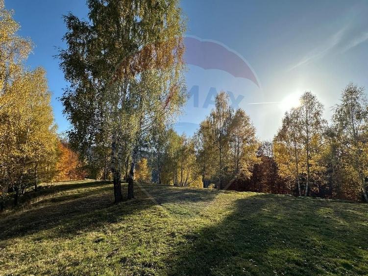 Oportunitate de investiție ! Teren de vis în Pestera - 125.370 mp - 26