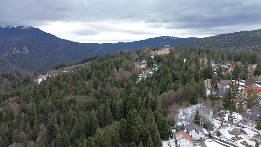 Teren intravilan 3.500 mp Cioplea - Predeal - 4