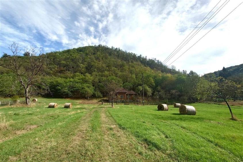 Teren, padure si casa in Dumbrava de Jos, jud. Hunedoara - 19