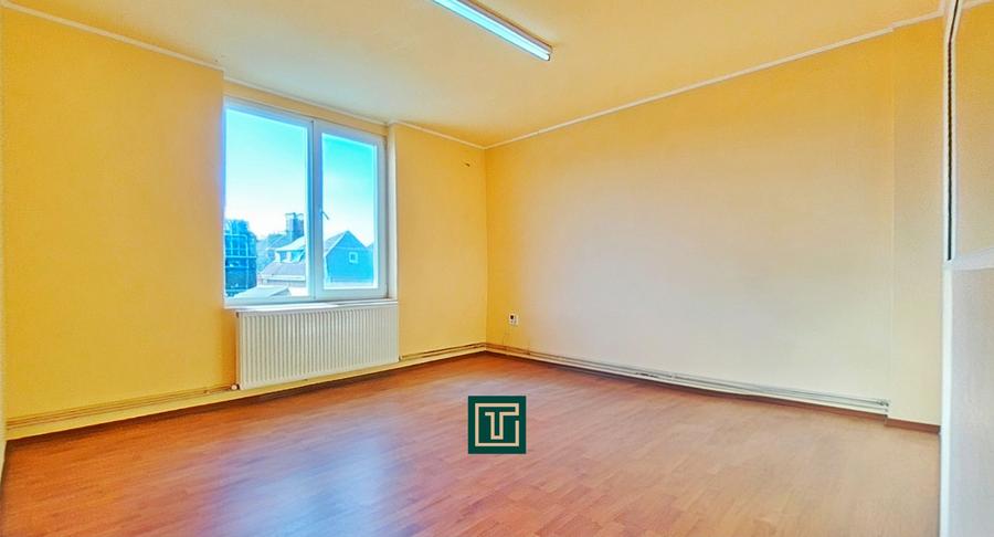 Clădire cu 10 camere în Aradul Nou – ideală pentru investiție/afaceri - 7