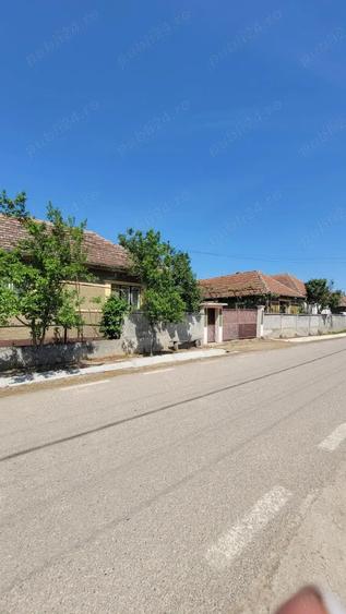 Vand proprietate in Miersig, jud.Bihor, la aproximativ 20 km de Oradea. - 3