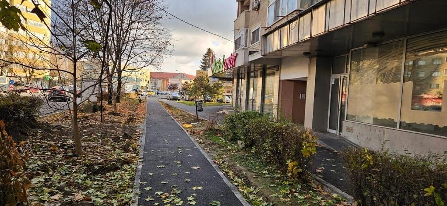 Spatiu comercial Satu Mare, Lucian Blaga - 1