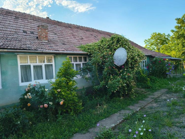 Casa de vanzare - 5
