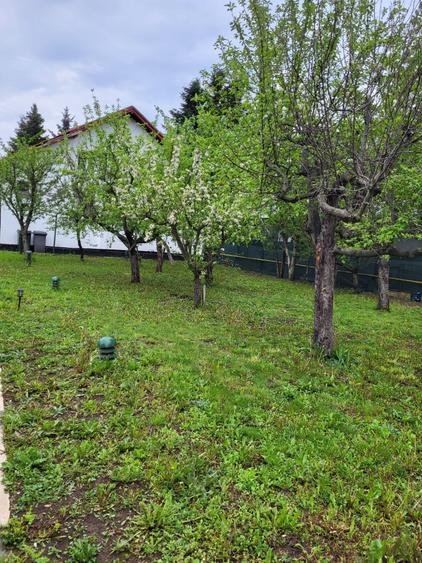 Refugiul tău verde, aproape de oraș la Snagov - 1