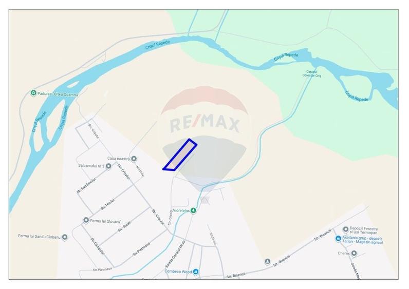 Teren intravilan de vanzare, 11.600 mp - Tarian, Girisul de Cris - 3