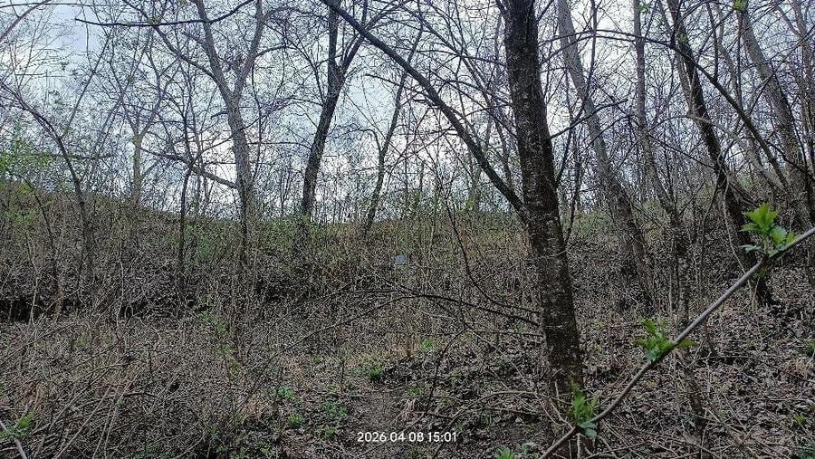 Vand casa com Bozioru 4660 mp teren - 3