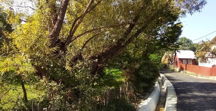 Teren intravilan Valea Doftanei, sat Tesila, Prahova - 5